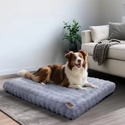 A brown and white dog lying on a fluffy grey dog bed inside a bright living room.